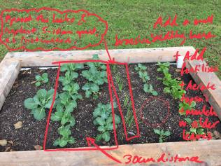 36765330_10155389723037116_4969091528690499584_o